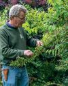 The Country Smallholder