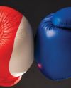The Franchising World