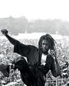 THE RASTA'S HISTORY