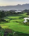 Birdies in paradise14
