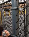 What to know about the Newark mayor's arrest at an immigration detention center