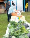 West Philadelphia Urban Farm celebrates 20 years