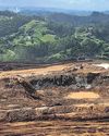 'White gold' rush on KZN South12