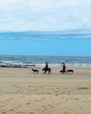 Jeffreys Bay is much more than just a holiday spot for surfers Jeffreys Bay is much more than just a holiday spot for surfers4
