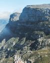 A world treasure: insights on Cape Town's wildflowers5