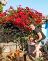 Better Homes & Gardens US