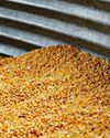 Protect Stored Grain