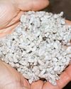Cottonseed: A Valuable Resource Cottonseed: A Valuable Resource4