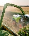 Successful Farming