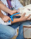 Rethink Deworming0