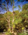 A pinhole pursuit A pinhole pursuit