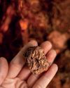 Australian Mining