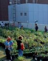 Un hospital crea huertos en la azotea para ofrecer alimentos frescos a los pacientes