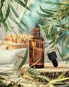 ¿Qué son los terpenos? Una farmacia natural en cada aroma16