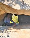 Chhota Udaipur Tribals seek study of ancient cave art