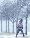 Wintry Blast Roils Parts of America