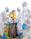 First human bird flu death in US reported