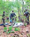 14 Naxalites killed along Odisha-Chh'garh border