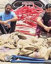Gang in op for 9 yrs dodging cops' radar
