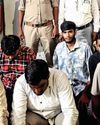 For fake cow vigilantes, it's jail even after bail2