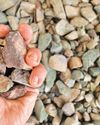Govt readying subsidy for rare earth magnets17