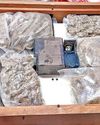 A'bad FPO seizes ganja hidden in Thai parcels6