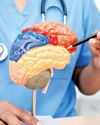 Body 'side' may predict Parkinson's progression: study41