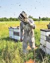 Bees Have Their Ways to Cope With Warming Earth41