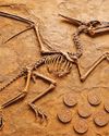 'Flying dinosaur' fossil discovered in Jaisalmer26
