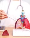 Study estimates 14 pc of adults aged 45 and above may have obstructive lung disease Study estimates 14 pc of adults aged 45 and above may have obstructive lung disease31