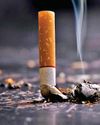Experts nudge smokers towards safer alternatives to curb death rates Experts nudge smokers towards safer alternatives to curb death rates35