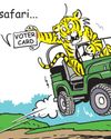 Ahmedabad Mirror