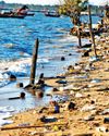 Oceans struggling to absorb CO2: Study40