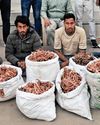 Surge in prices of copper, aluminiun sparks theft spree14