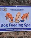 126 spots marked to feed stray dogs15