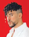 Bad Bunny's blissful plan62