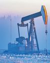 Indian cos' Russian oil purchase to fall14