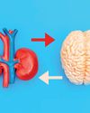 Study links chronic kidney disease with cognitive impairment43
