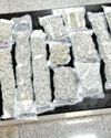 6.4 kg ganja worth Rs 6.5cr seized at Surat airport 6.4 kg ganja worth Rs 6.5cr seized at Surat airport9