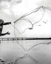 US-Iran war clouds Guj's fishing biz5