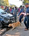 Ahmedabad Mirror