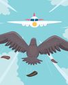 Bird-hit AI flight makes emergency landing in Rajkot Bird-hit AI flight makes emergency landing in Rajkot16