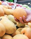 Indian mangoes spark summer buying frenzy across America Indian mangoes spark summer buying frenzy across America25