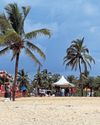 IS THE GOA OF OLD GONE FOR GOOD?35