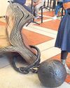 Library tours reveal a city's secret culture15