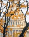 US Senate advances plan to end longest shutdown US Senate advances plan to end longest shutdown31