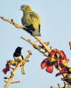 A year when Nature has fought for survival1