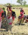 New job guarantee scheme aims to fix design gaps in MGNREGA: Report6