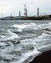 As memories of Fukushima fade, Japan seeks bigger role for nuclear power30