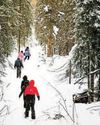Budget may pitch adventure tourism as revenue booster32